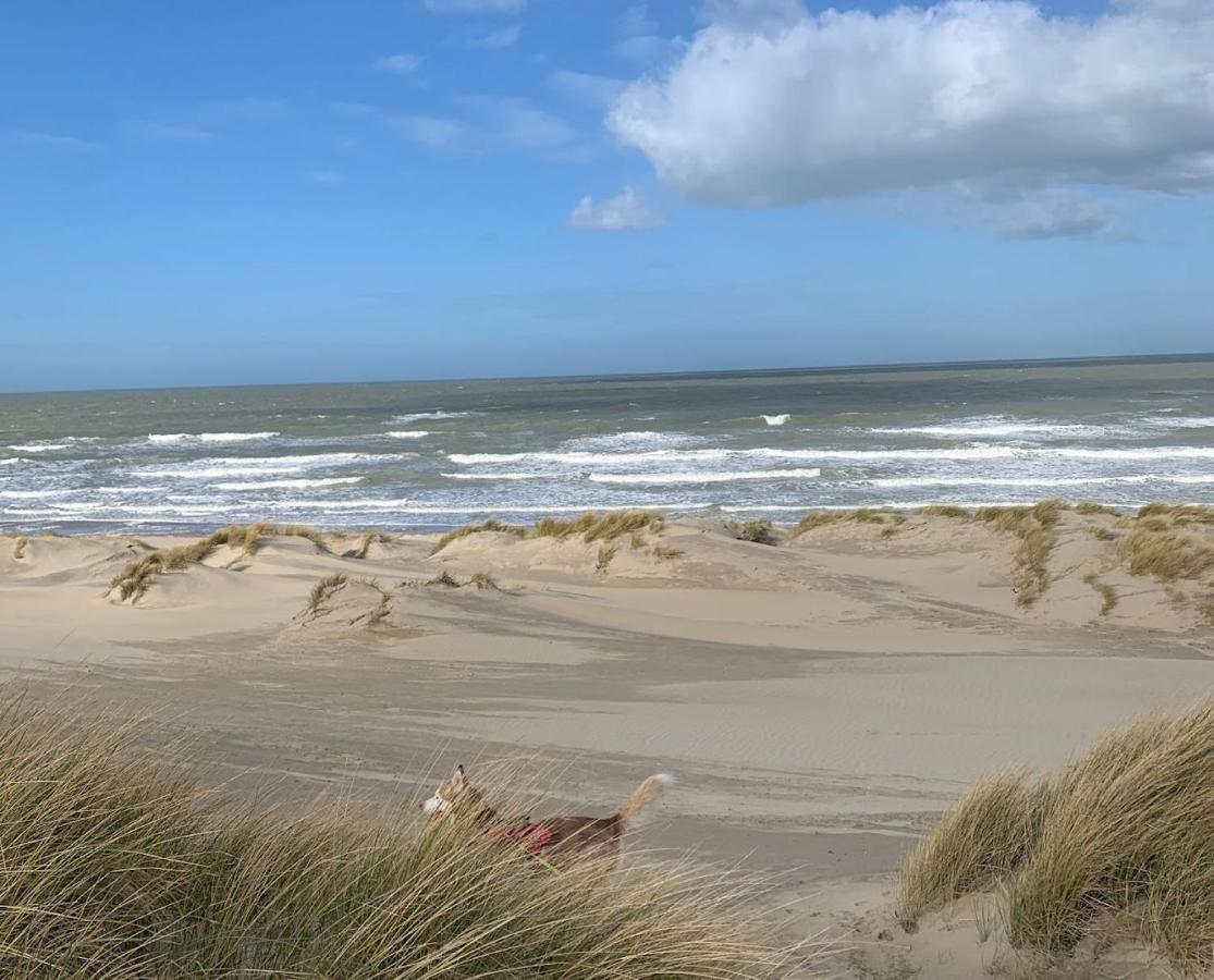 Moderne Studio Aan Het Strand In Oostduinkerke-Bad Коксейде Экстерьер фото